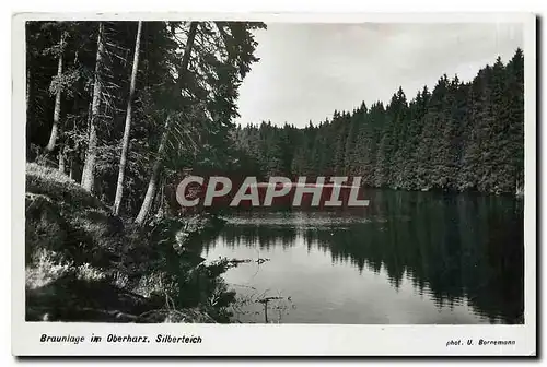 Cartes postales moderne Braunlage im Oberharz Silberteich