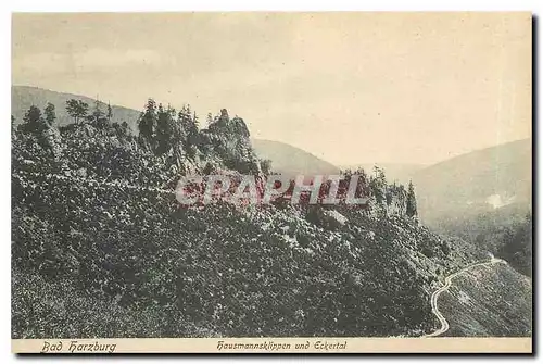 Cartes postales moderne Bad Harzburg Hausmannsklippen und Eckertal