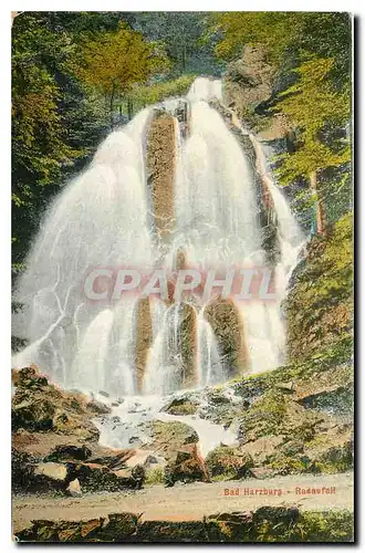 Cartes postales moderne Bad Harzburg Radaufall