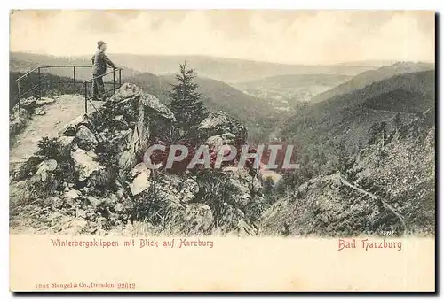 Cartes postales moderne Winterbergsklippen mit Blick auf Harzburg