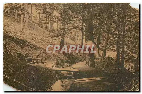 Cartes postales moderne Bad Harzburg Winissterweg