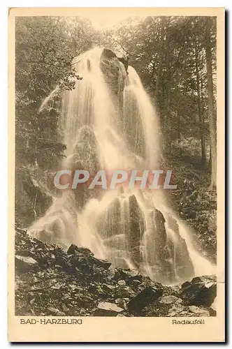 Cartes postales moderne Bad Harzburg Radaufall