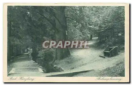 Cartes postales moderne Bad Harzburg Philosophenweg