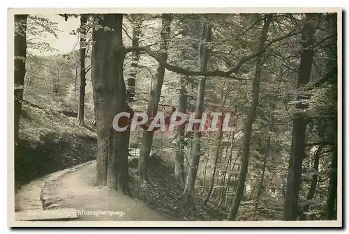 Cartes postales moderne Bad Harzburg Philosophenweg