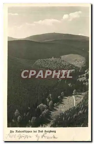 Cartes postales moderne Die Rabenflippen bei Bad Harzburg