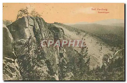 Cartes postales moderne Bad Harzburg Rabenklippen