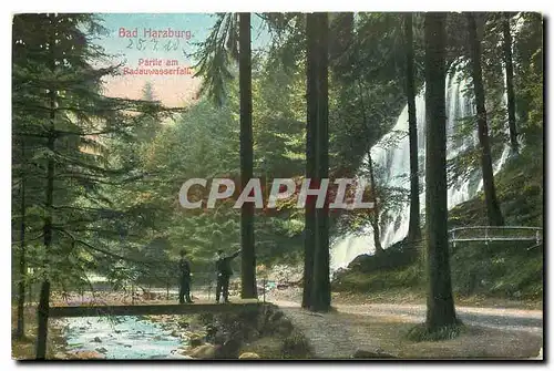 Cartes postales moderne Bad Harzburg Partie am Radauwasserfall