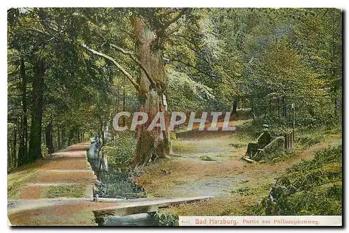 Cartes postales moderne Bad Harzburg Partie am Philosophenweg