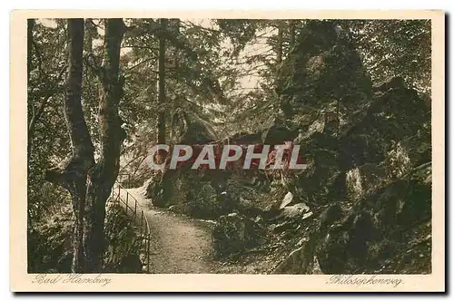 Cartes postales moderne Bad Harzburg Philosophenweg