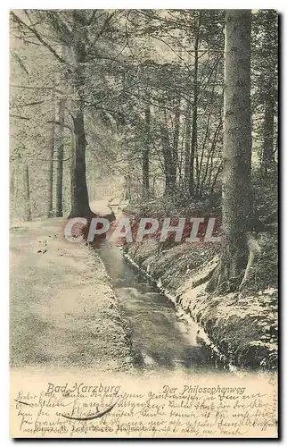 Cartes postales moderne Bad Harzburg Der Philosophenweg