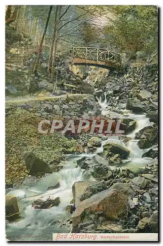 Cartes postales moderne Bad Harzburg Riefenbachstal