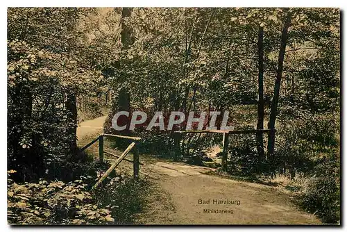 Cartes postales moderne Bad Harzburg Ministerweg