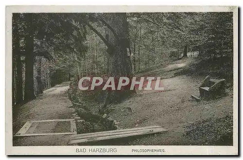 Cartes postales moderne Bad Harzburg Philosophenweg