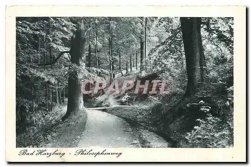 Cartes postales moderne Bad Harzburg Philosophenweg