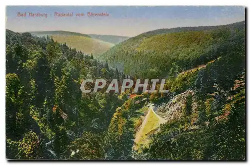 Cartes postales moderne Bad Harzburg Radaufal vom Barenstein