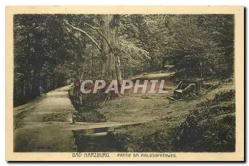 Cartes postales moderne Bad Harzburg Partie am Philosophenweg