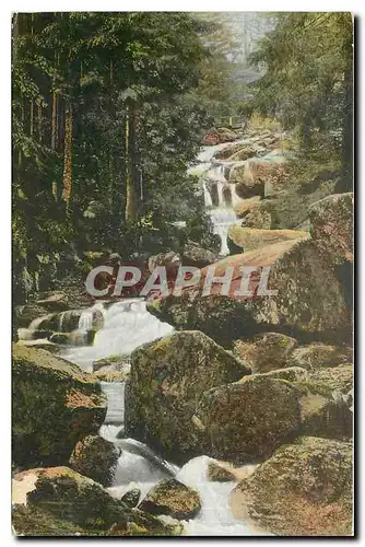 Cartes postales Harz Steinerne Renne