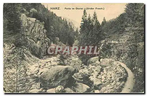 Cartes postales Harz Partie im Okertal Grosser Frosch