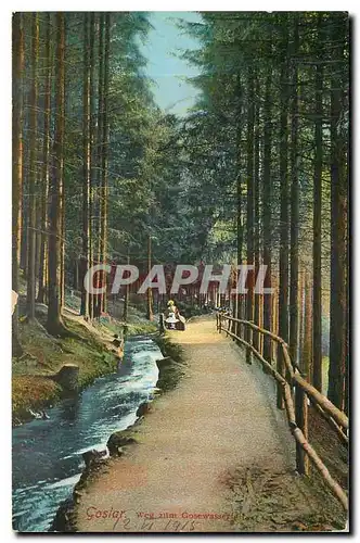 Cartes postales Goslar Weg zum Gosewasserfall