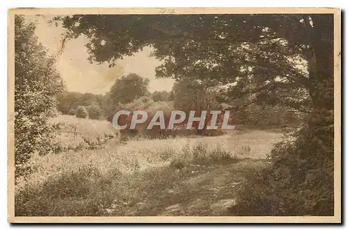 Cartes postales Ringsum ein Duften und Bluhen aus den Kunstmappen Wanderungen durch die Natur