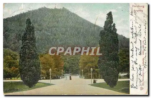 Cartes postales Harzburg Burgberg
