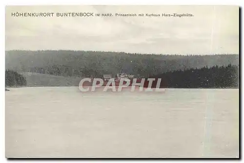 Cartes postales Hohenkurort Buntenbock im Harz Prinzenteich mit Kurhaus Harz Ziegelhutte