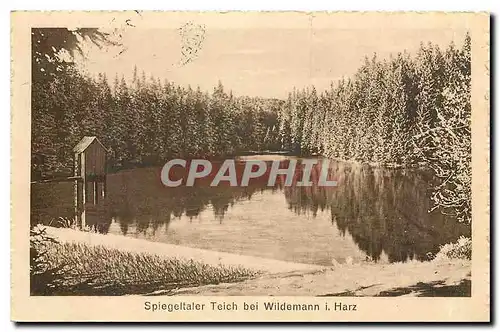 Cartes postales Spiegeltaler Teich bei Wildemann Harz