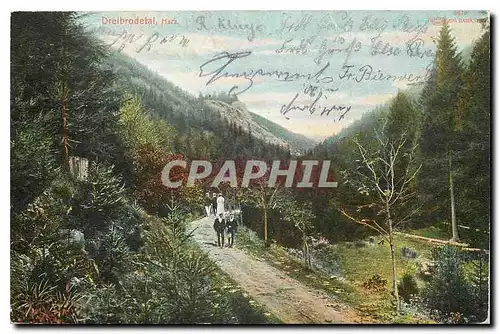 Cartes postales Dreibrodetal Harz