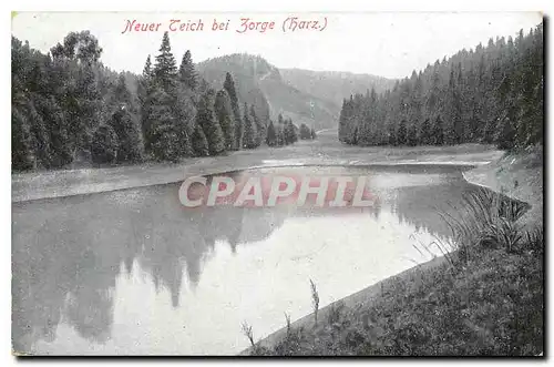 Cartes postales Neuer Teich bei Zorge Harz