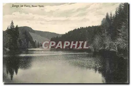 Ansichtskarte AK Zorge im Harz Neuer Teich