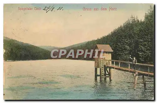 Cartes postales Spiegeltaler Teich Gruss aus dem Harz