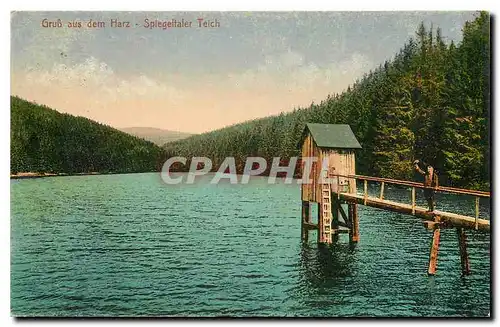 Ansichtskarte AK Gruss aus dem Harz Spiegeltaler Teich