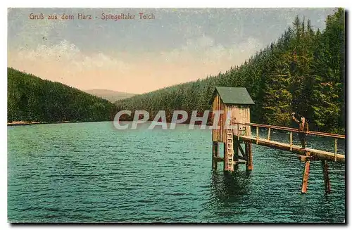 Cartes postales Gruss aus dem Harz Spiegeltaler Teich