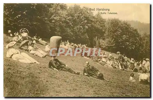 Cartes postales Bad Harzburg Kalte Talwiese