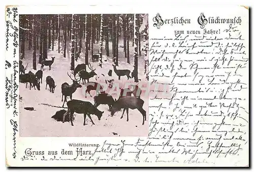 Cartes postales Herzlichen Gluckwunlch Wildfutterung Gruss aus dem Harz Biches Chasse