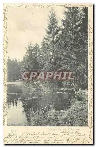 Cartes postales Harz Teichpartie bei Woigtslust