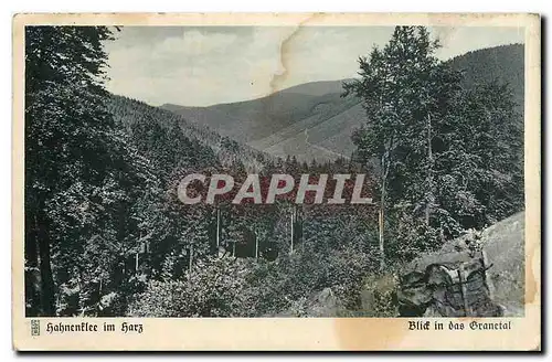 Cartes postales Hahnenflee im Harz Blidt in das Granetal
