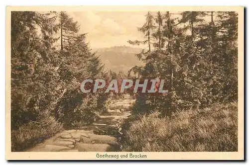 Cartes postales Goetheweg und Brocken