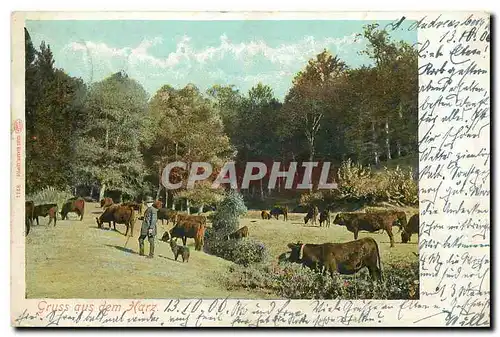 Cartes postales Gruss aus dem Harz