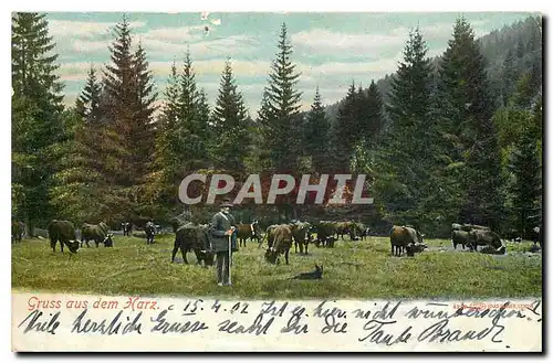 Cartes postales Gruss aus dem Harz