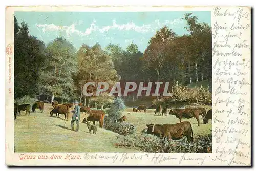 Cartes postales Gruss aus dem Harz