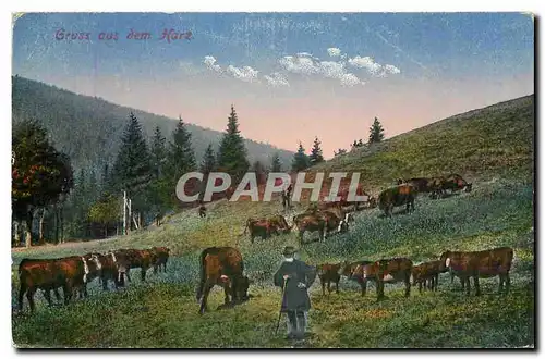 Cartes postales Gruss aus dem Harz