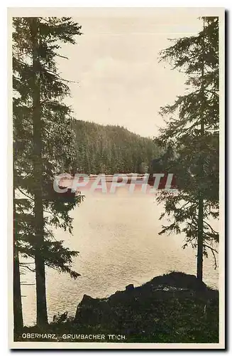 Cartes postales Oberharz Grumbacher Teich