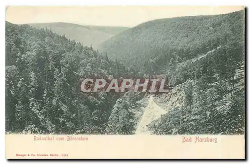 Cartes postales Radauhal vom Barenstein Bad Harzburg