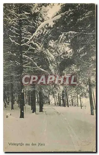 Cartes postales Wintergrusse aus dem Harz