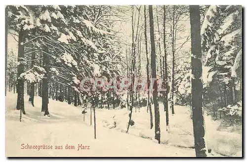 Cartes postales Schneegrusse aus dem Harz