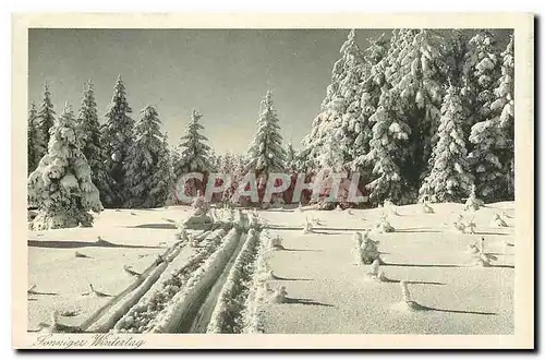 Cartes postales Sonniger Wintertag