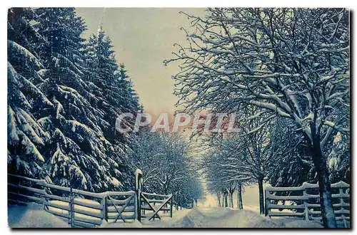Cartes postales Der Harz im Winterkleid