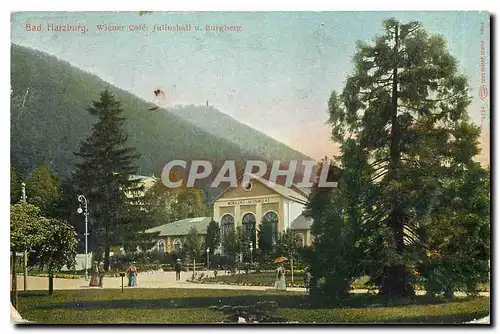 Cartes postales Bad Harzburg Wiener Cafe Juliushall u Burgberg