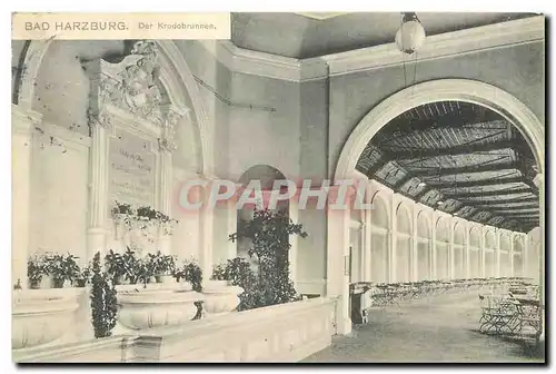 Cartes postales Bad Harzburg Der Krodobrunnen